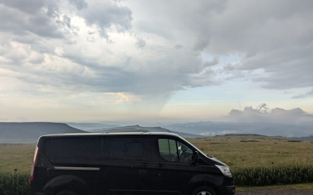 Rental - Campervan - null - #99075