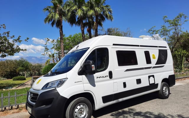 Alquiler - Camper gran volumen - null - #66897