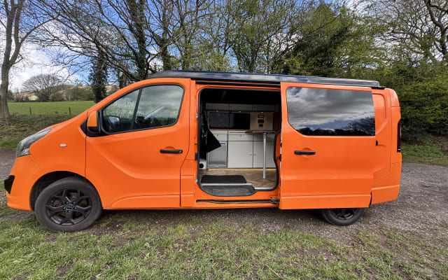 Rental - Campervan - null - #95514