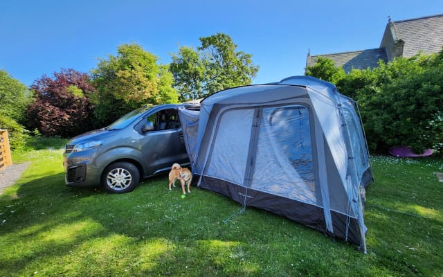 Rental - Campervan - null - #90818