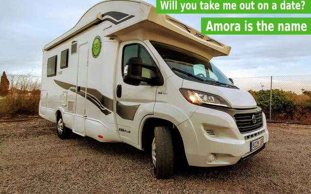 Alquiler - Autocaravana Perfilada - null - #10331