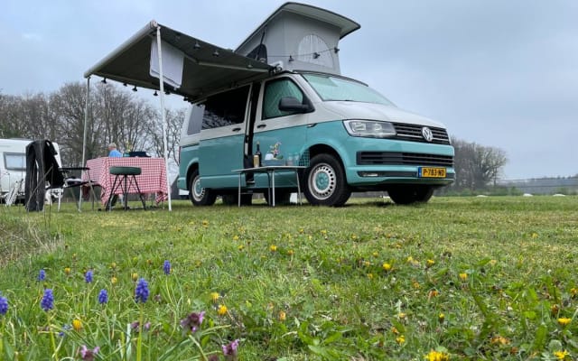 Boeking - Buscamper - null - #44583