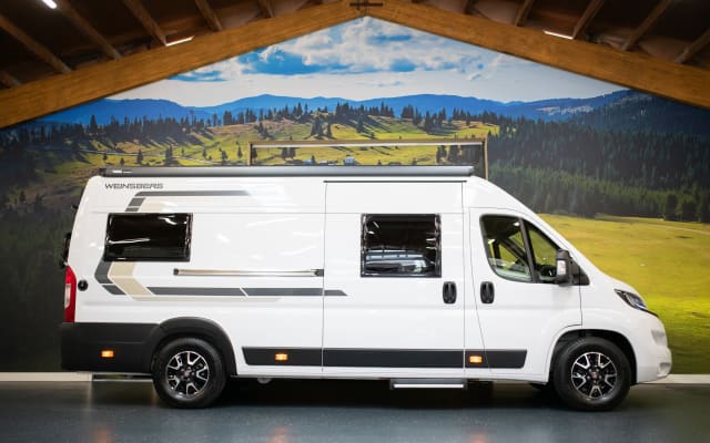 Boeking - Buscamper - null - #78365