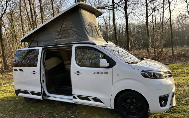 Boeking - Buscamper - null - #94441