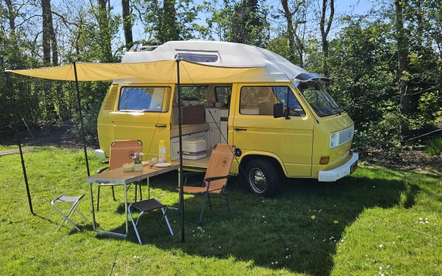 Boeking - Buscamper - null - #90829