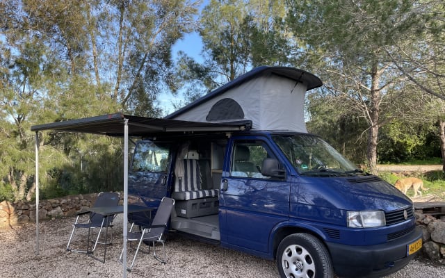 Alquiler - Furgoneta camper - null - #68565
