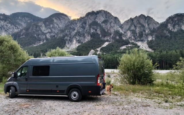 Boeking - Buscamper - null - #94368