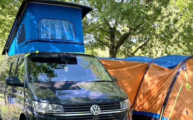 Rental - Campervan - null - #84342