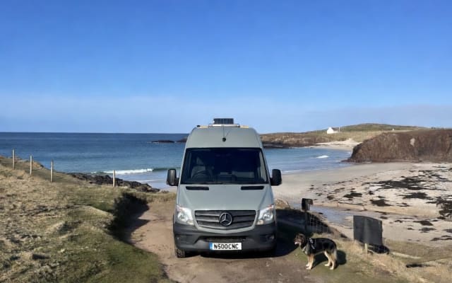 Rental - Campervan - null - #71621