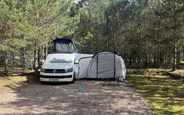Rental - Campervan - null - #68664