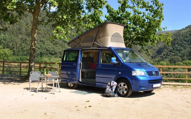 Aluguer - Campervan - null - #19968