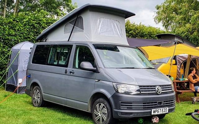 Rental - Campervan - null - #88137