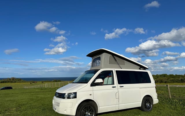 Rental - Campervan - null - #97659