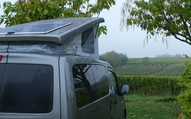 Rental - Campervan - null - #94841