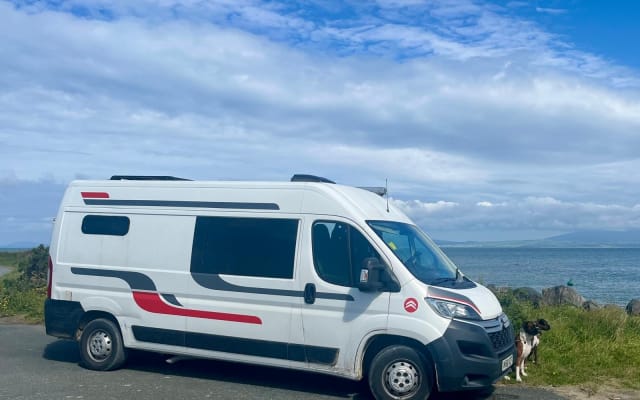 Rental - Large campervan - null - #91615