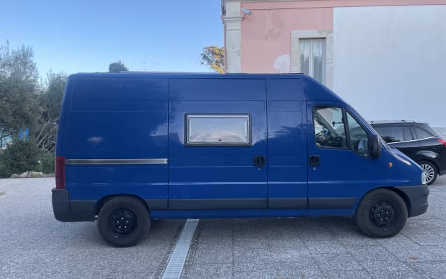 Alquiler - Camper gran volumen - null - #91635