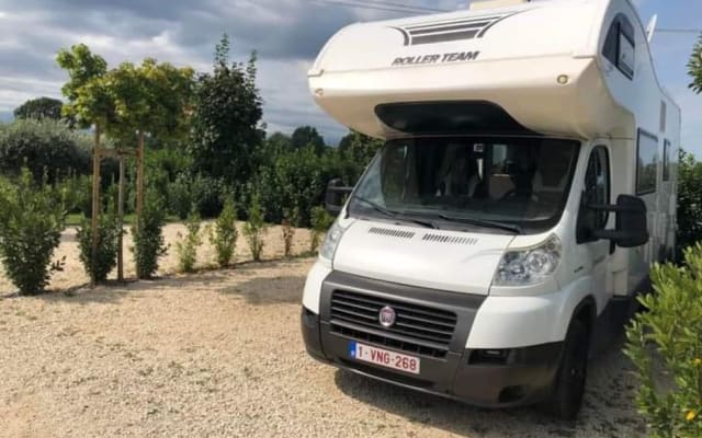 Rental - Coachbuilt motorhome - null - #31200