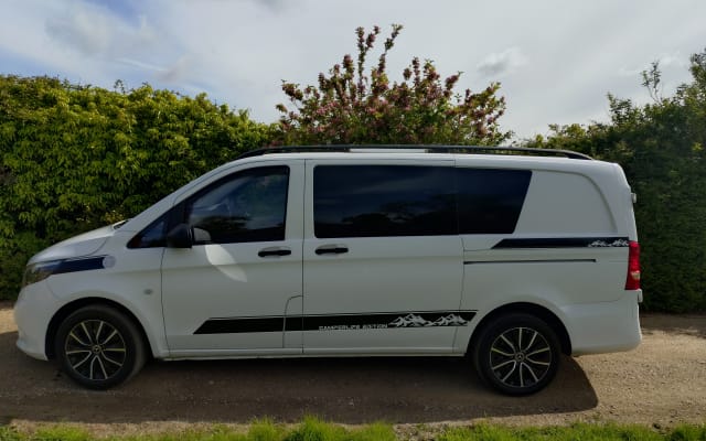 Rental - Campervan - null - #96244