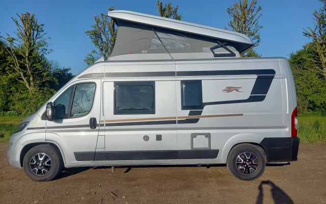 Boeking - Buscamper - null - #60290