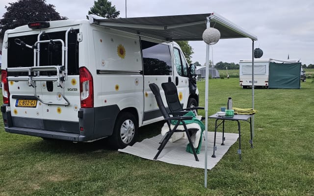 Rental - Large campervan - null - #97439