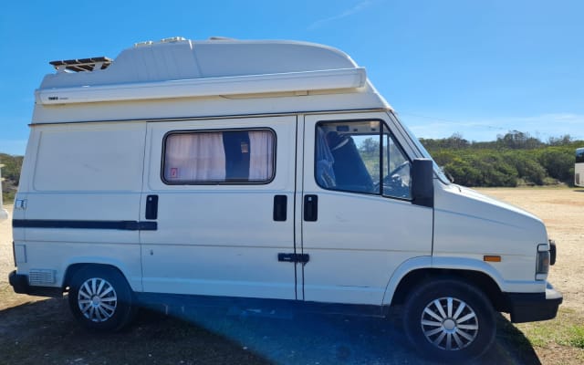 Alquiler - Camper gran volumen - null - #71881