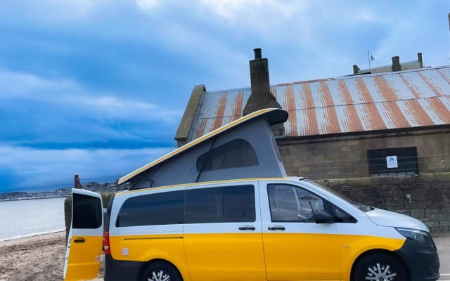 Rental - Campervan - null - #47839