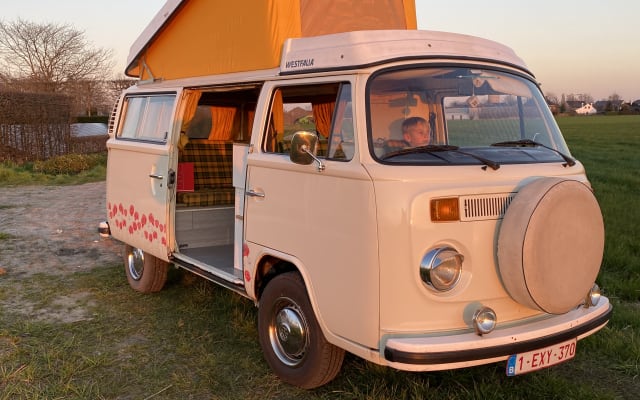 Rental - Large campervan - null - #5549