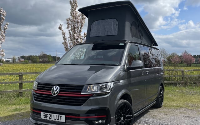 Rental - Campervan - null - #43760