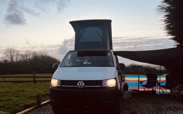 Rental - Campervan - null - #47037