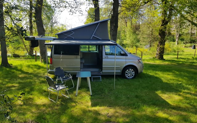 Prenotazione - Van - null - #88102