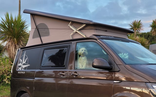 Alquiler - Furgoneta camper - null - #72137