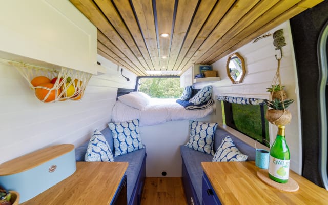 Rental - Campervan - null - #94222