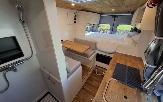 Rental - Campervan - null - #91918