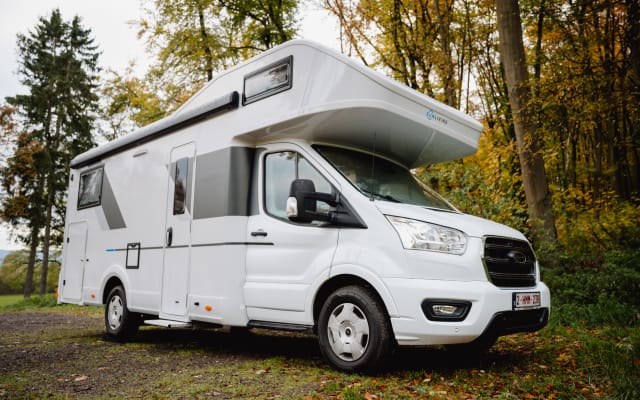 Vermietung - Alkoven-Wohnmobil - null - #93722