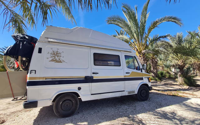 Location - Large campervan - null - #72857