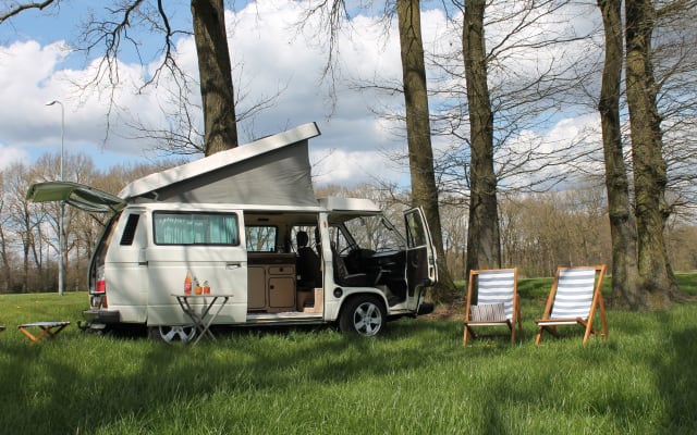 Location - Van - null - #49708