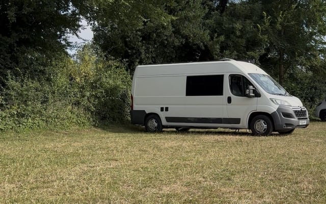 Rental - Campervan - null - #98515