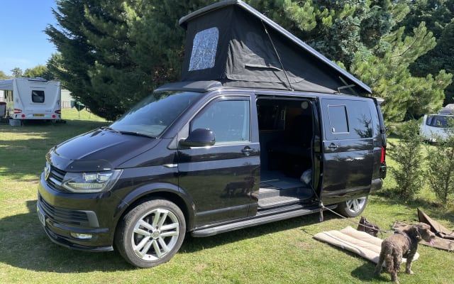 Rental - Campervan - null - #63333