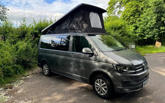 Rental - Campervan - null - #94217