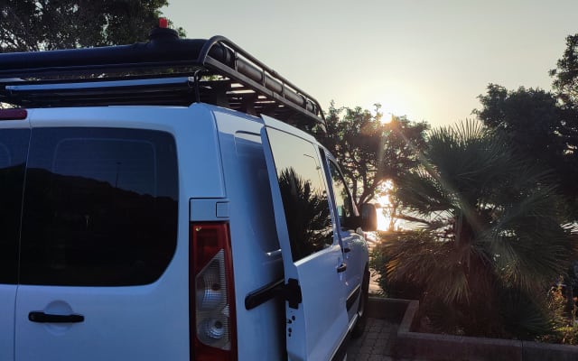 Rental - Campervan - null - #54036