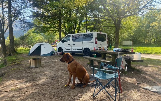 Alquiler - Furgoneta camper - null - #89126