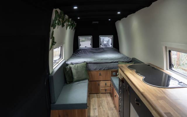 Alquiler - Camper gran volumen - null - #80942