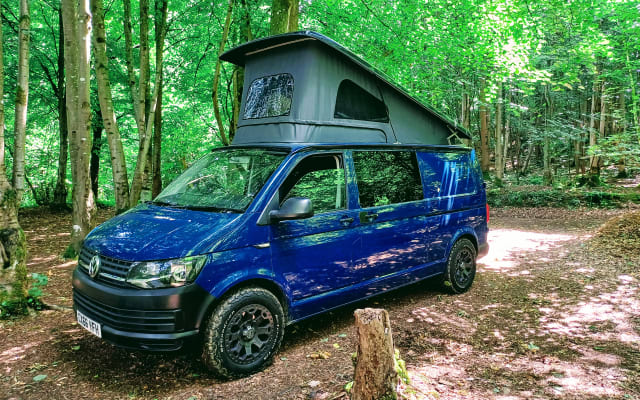 Vermietung - Campingbus - null - #90387