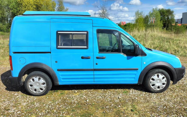 Rental - Campervan - null - #96835