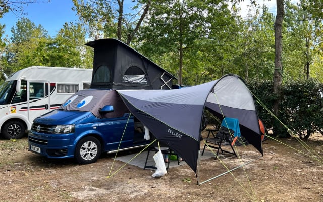 Rental - Campervan - null - #96091