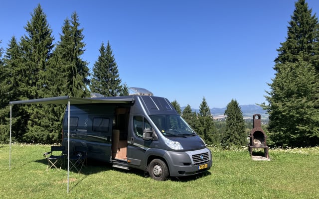 Boeking - Buscamper - null - #91409