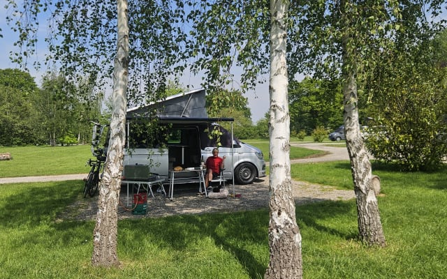 Rental - Campervan - null - #94397