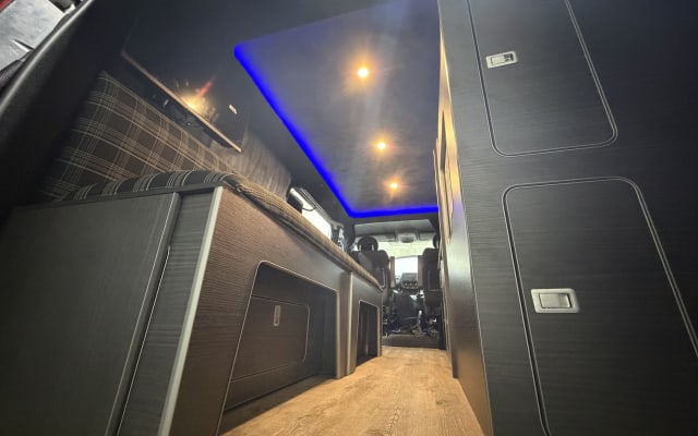 Rental - Campervan - null - #87834