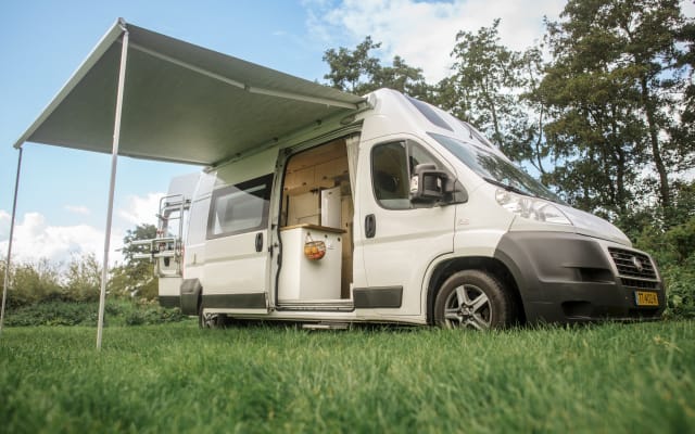 Alquiler - Camper gran volumen - null - #17325