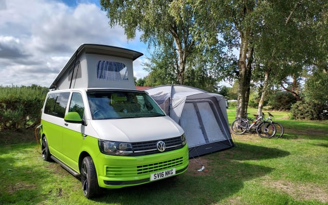 Rental - Campervan - null - #19107